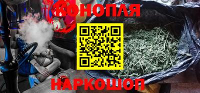 прущие грибы Тверь