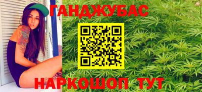 прущие грибы Тверь