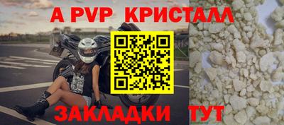 прущие грибы Тверь