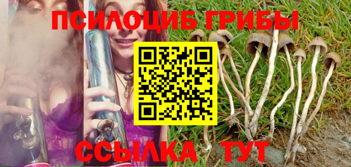 Псилоцибиновые грибы GOLDEN TEACHER Учалы