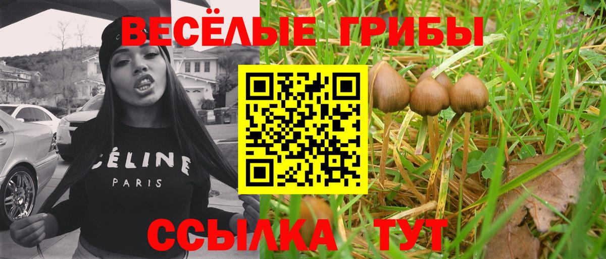 Псилоцибиновые грибы Cubensis  Вход с VPN  Псилоцибиновые грибы Magic Shrooms  Учалы 
